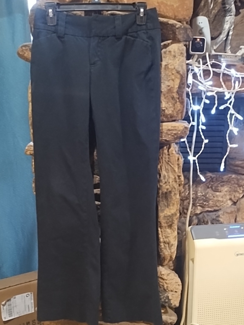 No Label Curvy Classic Straight Leg Pants - Black